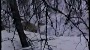 Охота Якутия