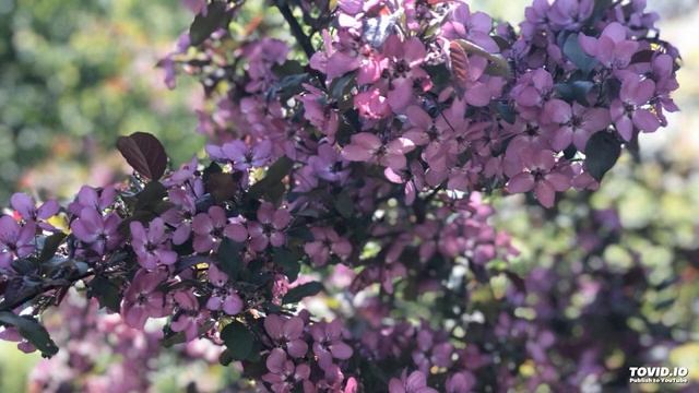 Медитация смотреть онлайн