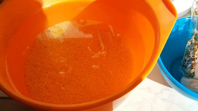 Sprouting seeds and growing microgreens to eat - 29.10.2018 смотреть онлайн