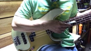 Bass setup - Fender 2010 Active Precision Bass...How I set up a P-Bass (34200)