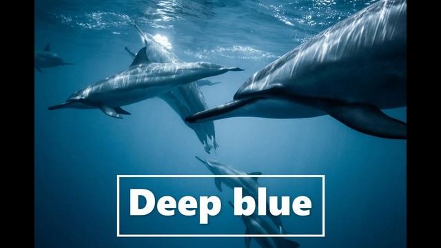 DEEP BLUE , #sea Music, #deep Sea, #deep Music, #under Water