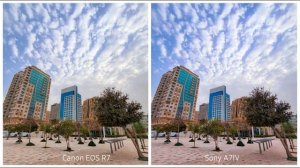Canon EOS R7 VS Sony A7IV | auto-focus Camera Test & Comparison