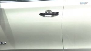 Nissan Sylphy "Zero Emission"