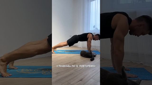 Хочешь увидеть кубики на животе? #пресс #тренировка #фитнес смотреть онлайн