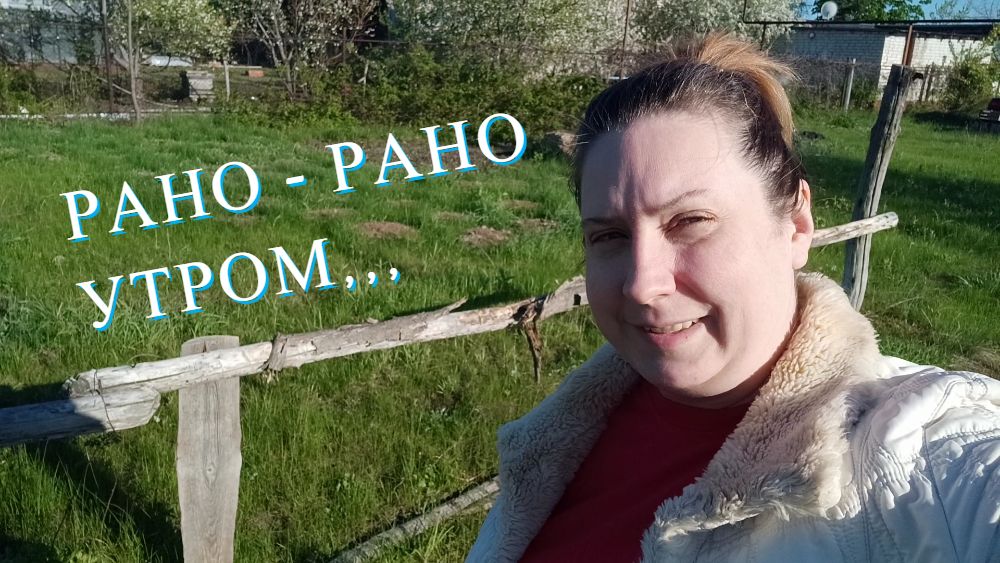 Влог / Утренняя прогулка с собакой / Французский бульдог / Природа / VLOG / ASMR / холодно