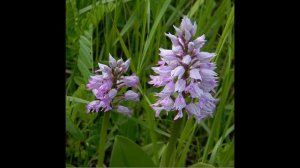 День заповедников и национальных парков России