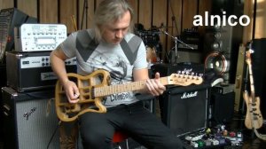 Alnico Vs Ceramic pickups