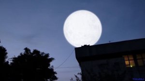 Супер Луна приблизилась к планете Земля