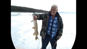 Рыбалка весной на льду. Тубинский залив, Усть-Илимское водохранилище