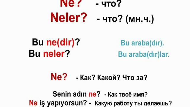 Турецкий язык. Урок 5. Вопросительные слова "kim" и "ne". смотреть онлайн