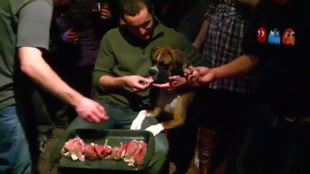 Happy Birthday BenBen смотреть онлайн