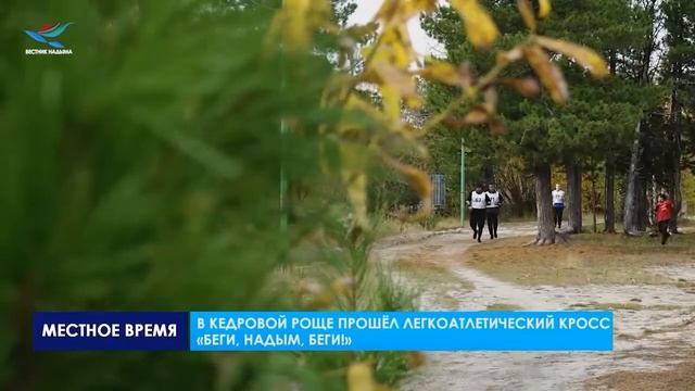 БЕГИ, НАДЫМ, БЕГИ! смотреть онлайн