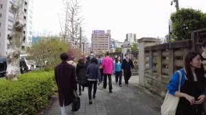 Tokyo Tsukiji Fish Market Walking Tour (March 2023)