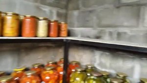 Делаем подвал своими руками
