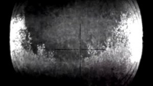 Охота на оленя на гону.  PULSAR DIGISIGHT 455 ULTRA LRF