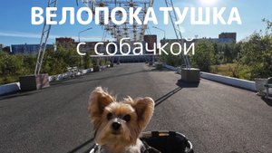 Велопокатушка по Норильску с собачкой