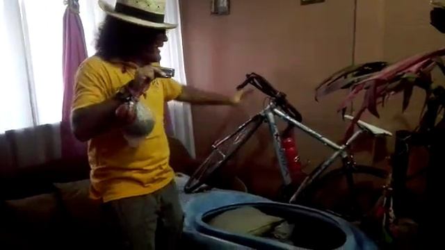 Guaria Turrialba y la almohada del arte смотреть онлайн