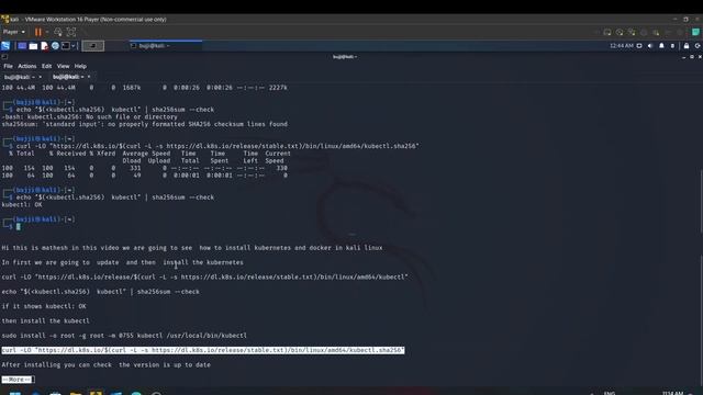 to install the kubernetes and docker in Kali Linux смотреть онлайн