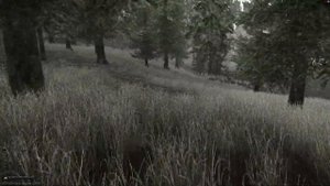 Квест Секта Часть 1. Все квесты от Миротворца. Прохождение игры Escape from tarkov (побег из тарков