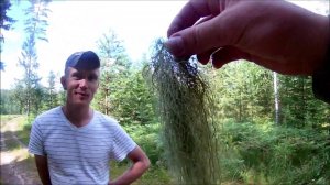 СТРАННЫЙ ЯГЕЛЬ - отпугиватель медведей