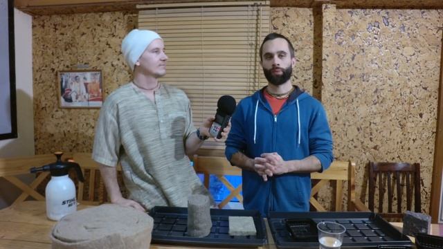 Как вырастить микрозелень в домашних условиях. смотреть онлайн