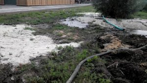 Очистка озера от ила