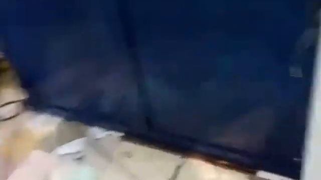 лохотрон