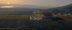 Chateau Pinot