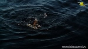 Клуб Рыболовных Путешествий. Озеро Наговье