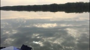 #148. Маныч полон!