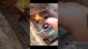 "Экстремальная кулинария: Приготовление и дегустация крокодила и змеи!"