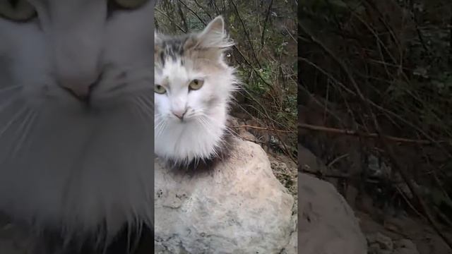 Мы попали в Чернобыль смотреть онлайн