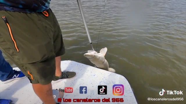 alligator gar fishing trips смотреть онлайн