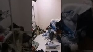 Как избавиться от моли?