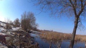 Замор рыбы зимой. Горы дохлой рыбы. Что это?? Мор рыбы