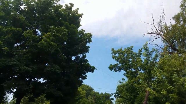 Лучше в Шахте Работать чем Колбасу Возить! Топ!!! Собаки - Джентельмены Удачи! смотреть онлайн