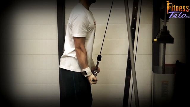 РАЗГИБАНИЯ РУК НА БЛОКЕ ОБРАТНЫМ ХВАТОМ // упражнения для тренажерного зала смотреть онлайн