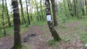 Испытания газового баллончика Факел. Пр-во "Техкрим".