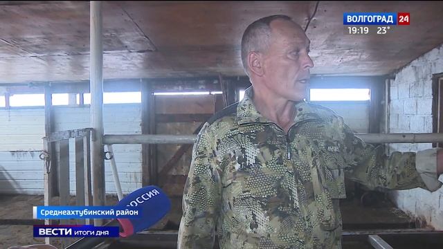 Среднеахтубинские фермеры развивают молочное животноводство с помощью госсподдержки смотреть онлайн