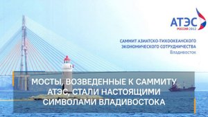 Мосты Владивостока: обработано Пенетроном