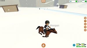 КОЛЕСО ОБОЗРЕНИЯ В РОБЛОКС. HORSE VALLEY IN ROBLOX
