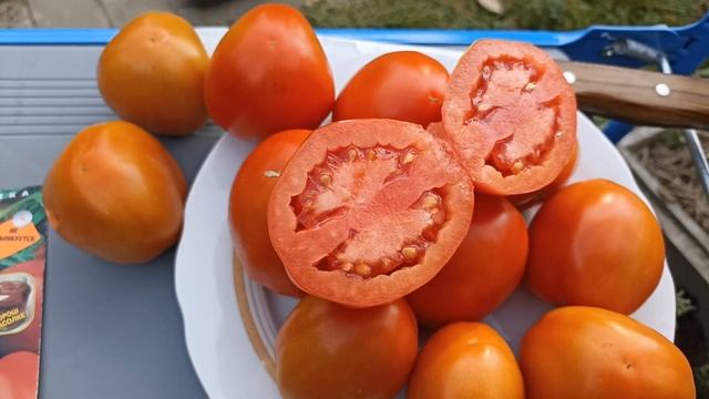 Томат Фитофтороустойчивый. Обзор. смотреть онлайн