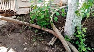 Скважина в неудобном месте