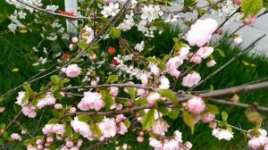 С чистого листа 1 - 4 серии | Мелодрама 2021