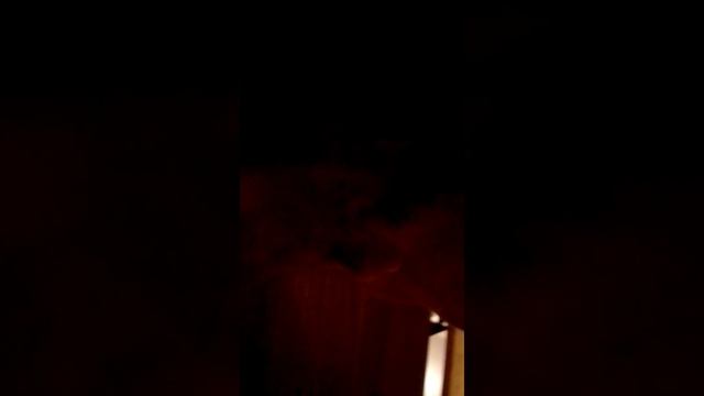 все минусы жизни с бенгальской кошкой смотреть онлайн