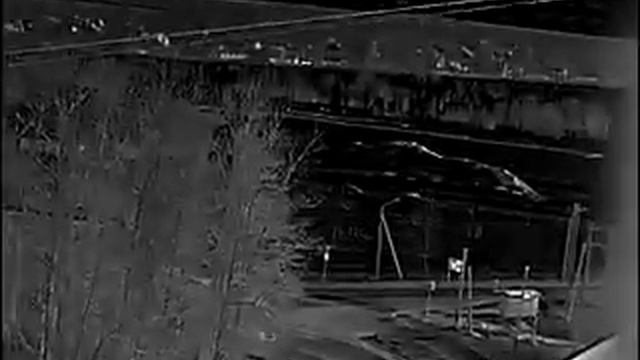 iRay xEye e 3plus 17 микрон смотреть онлайн