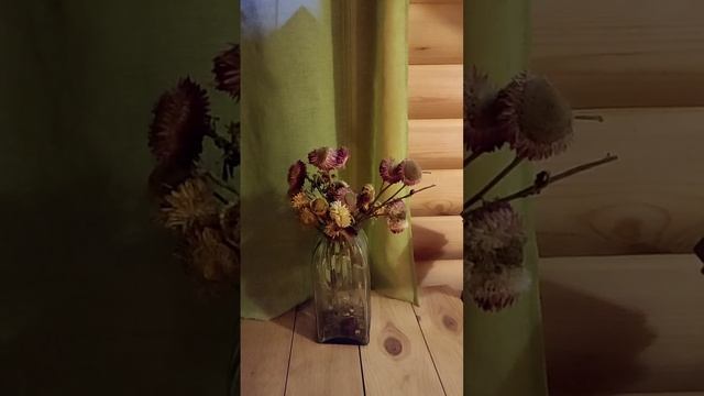 "КОФЕЙНИ - МОЯ СТРАСТЬ. КАК ОТВЫКНУТЬ?" (не видео, а слышио) смотреть онлайн