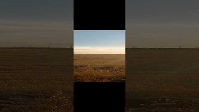 ЛЮБЛЮ ЗАКАТЫ И РАССВЕТЫ.#дядяколясибиряк