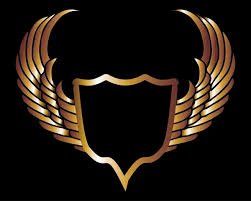 ГОСУДАРЕВ ЩИТ. СИЛЬНЕЙШАЯ ЗАЩИТА ОТ ЧИНОВНИКОВ. ДЛЯ ВСЕХ. ВЕДЬМИНА ИЗБА. ИНГА ХОСРОЕВА