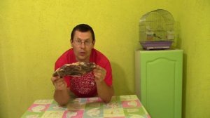 Вяленая баранья нога